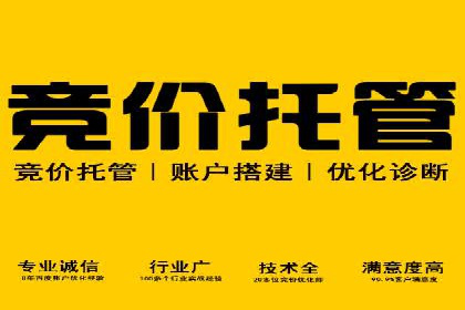 搜索引擎营销（SEM）推广策略案例分享
